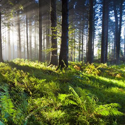 Im体育官方截图