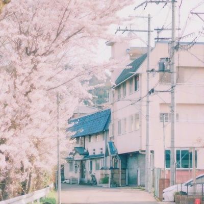 体育投注网址365