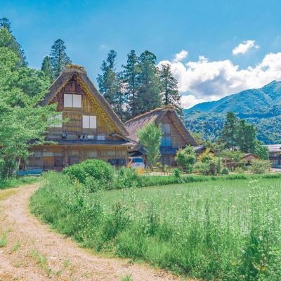 开元ky888vip手机app下载