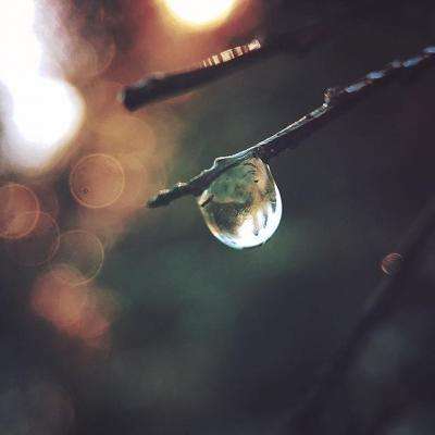 Im体育官方截图